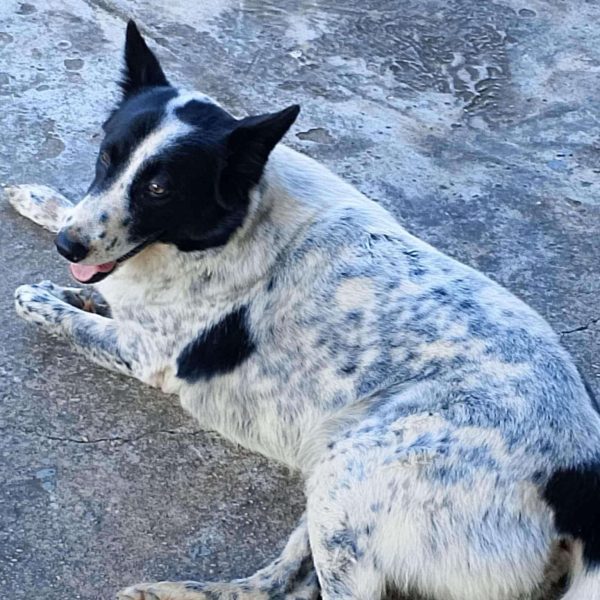 471360183_1388502909214246_733682155612065648_n