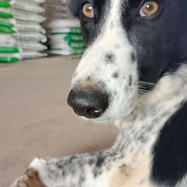 472002523_1388502802547590_8280228703224249403_n